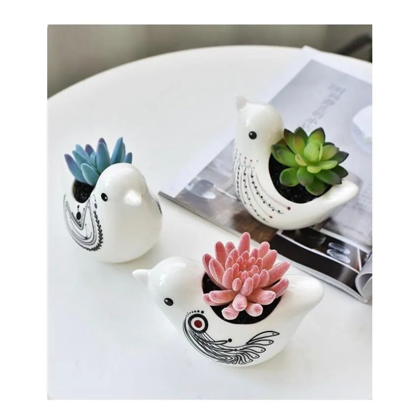 3 Pcs Lovely Birds Succulent Ceramic Indoor Flower Pots Cute Animal Mini Green Plant Basin Plant Pot Home Interior Design Fairy Gardening (Plants NOT Included)