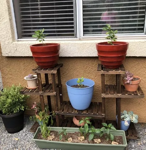 4-Layer Wooden Plant Stand 6 Platforms in 4 tiers, Plant Stand Space to Display 12 Pots of Plants of Different Heights and Shapes