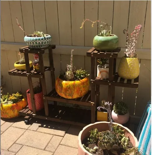 4-Layer Wooden Plant Stand 6 Platforms in 4 tiers, Plant Stand Space to Display 12 Pots of Plants of Different Heights and Shapes