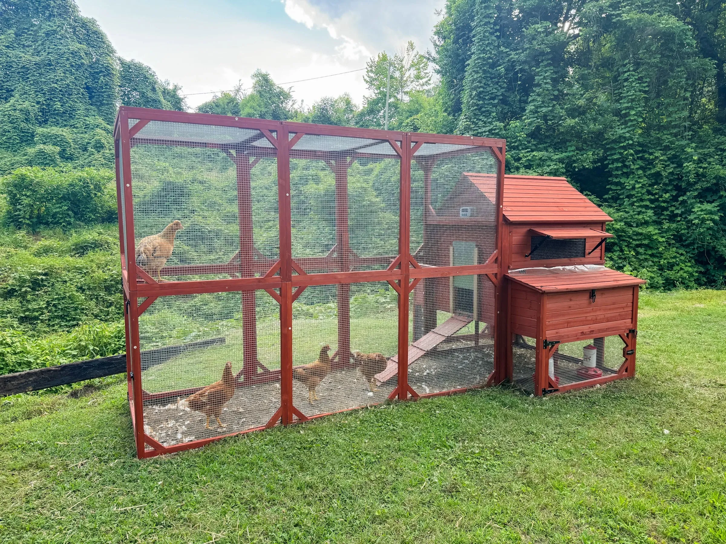 Chicken Coop for 10  Chickens – Rhode Island Homestead XL Coop with Run Extension