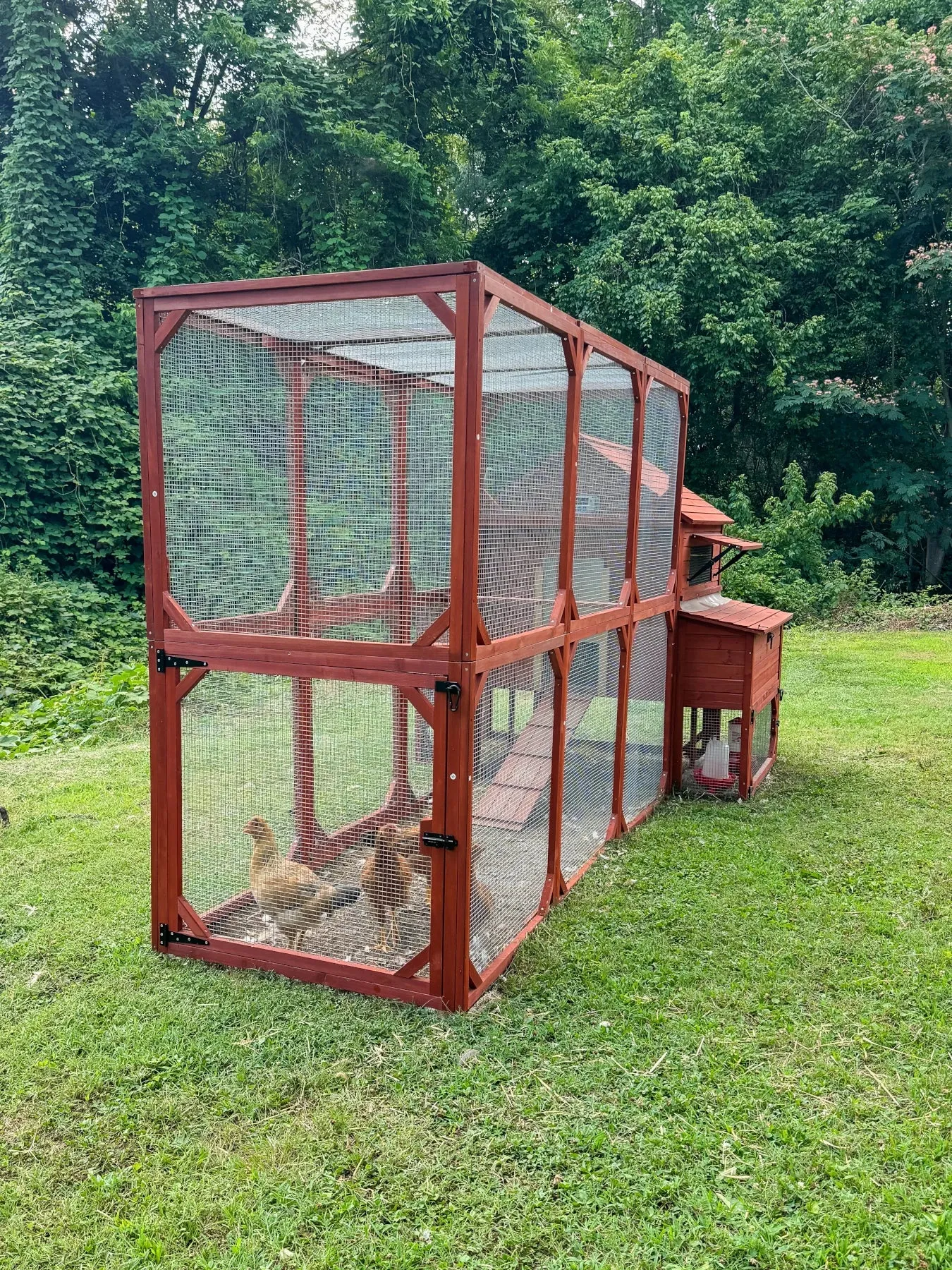 Chicken Coop for 10  Chickens – Rhode Island Homestead XL Coop with Run Extension