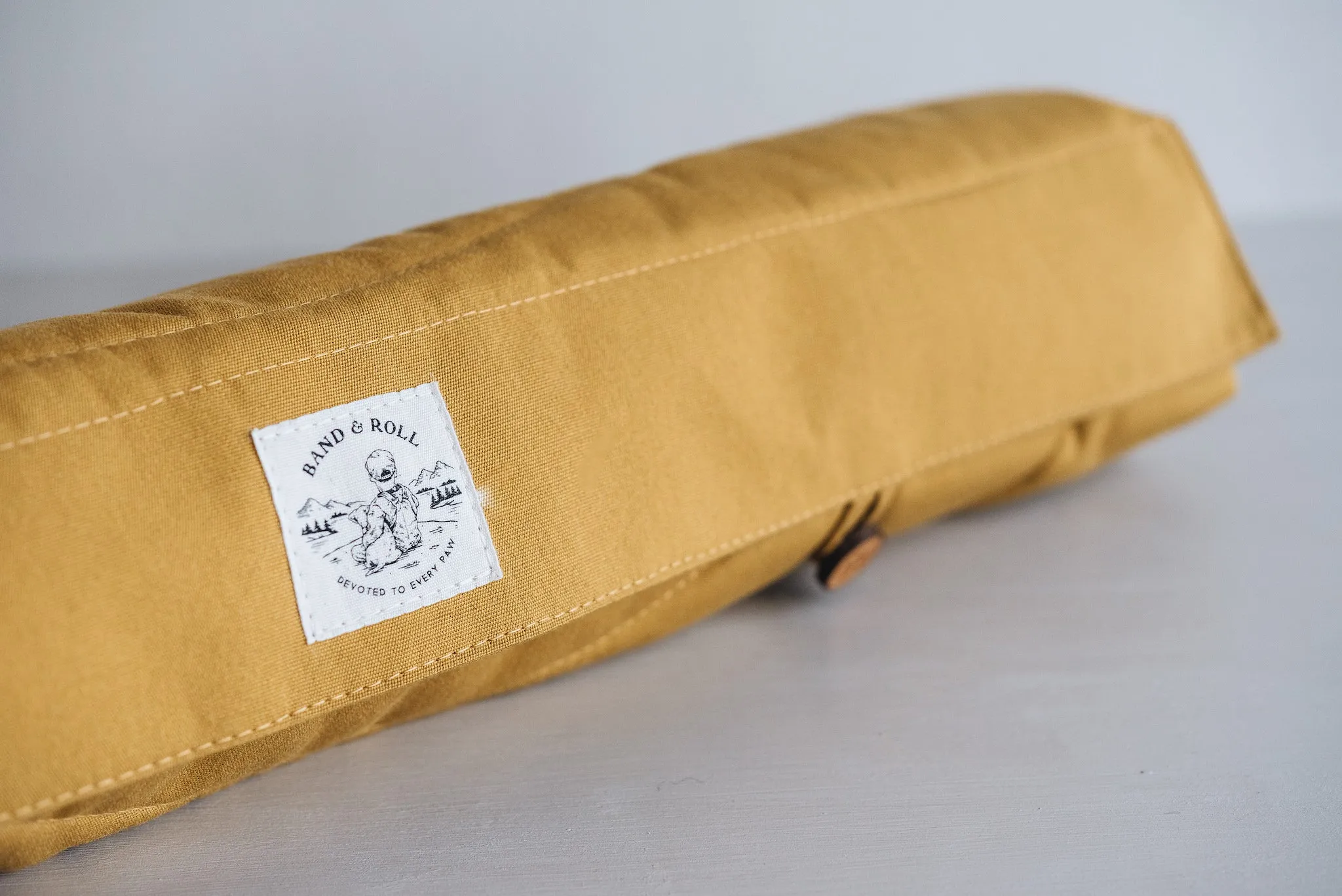 Compass Travel Dog Blanket