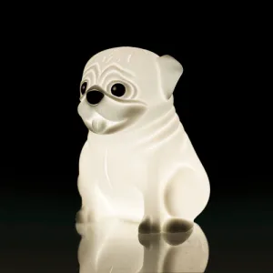 Lil Dreamers Pug Sensory Night Light