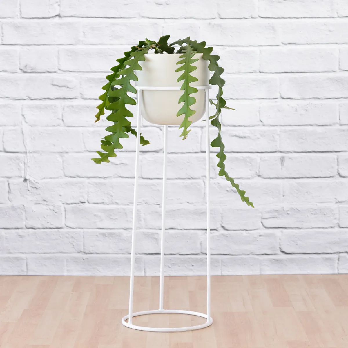 Orion Plant Stand - White