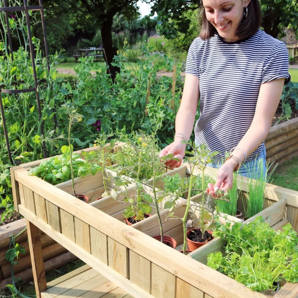 Raised Herb Planter