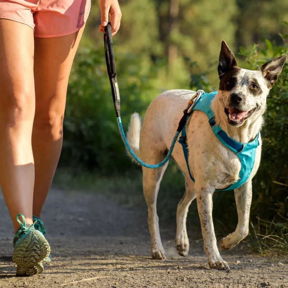 Ruffwear Knot-a-Long Reflective Rope Traffic Dog Leash (Pumpkin Orange)